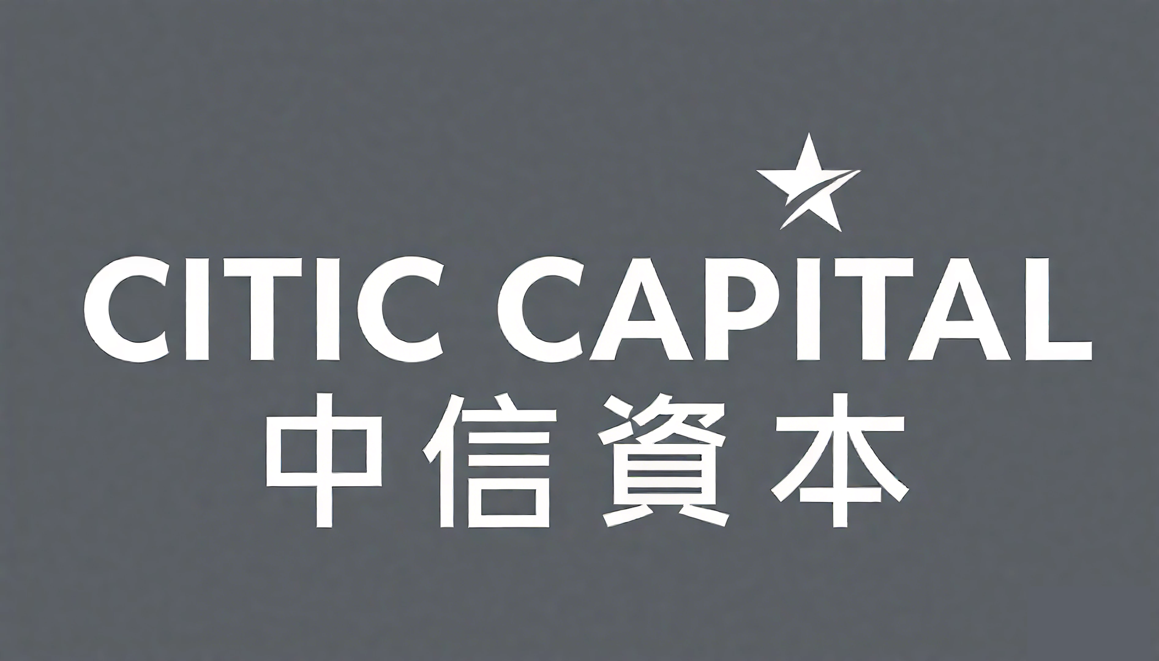 中信资本控股有限公司